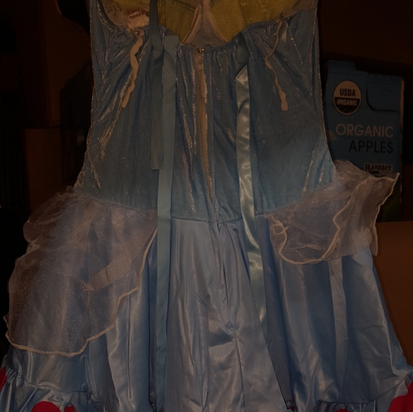 Rebel Toons Alice in Wonderland Adult Costume sz LARGE LAST ONE - Picture 10 of 14